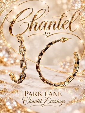 Park Lane Women’s Chantel Gold Chain Hoop Earrings Casual Statement Jewelry NWT